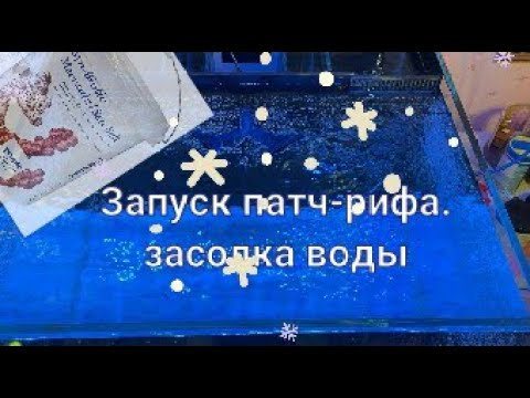 Видео: Запуск патч-рифа. (засолка воды)