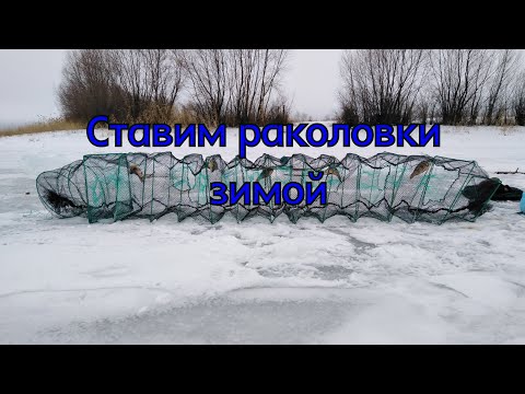 Видео: Ставим китайские раколовки. Ловля рака зимой 2020год