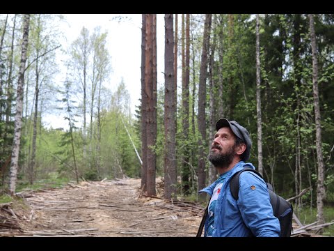 Видео: 300! Триста видеозаписей на канале. Зачем это все? И спасибо!