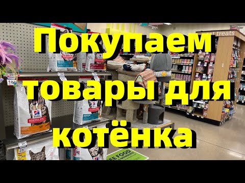 Видео: США.Зоомагазин.Решили завести котёнка.Покупаем товары для котёнка в зоомагазине и на Amazon.