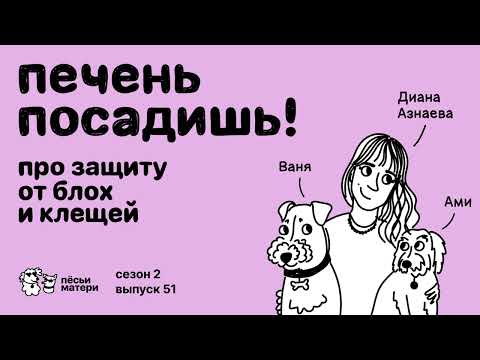 Видео: Печень посадишь! Про обработку собак от блох и клещей.