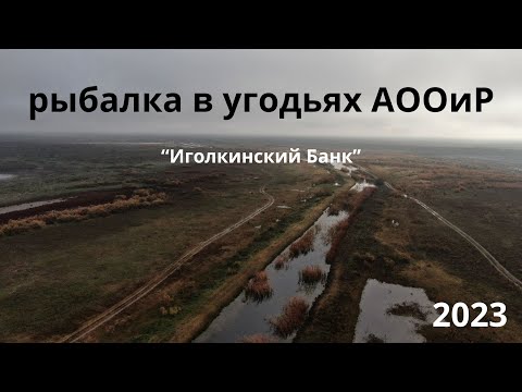 Видео: Рыбалка в Казахстане. Ловим сазана в угодьях АООиР