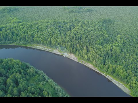 Видео: Лозьва 2021