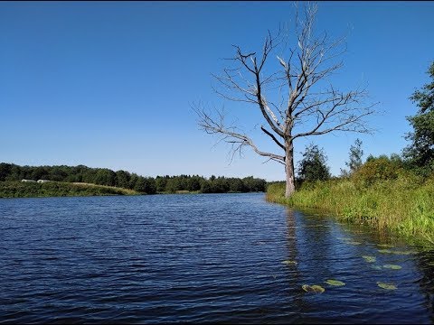 Видео: Нереальная красота. Рыбалка в Ярославской области. Река Нерль.