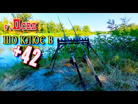 Видео: РІЧКА ДИВУЄ НЕСПОДІВАНКАМИ! 🎣  🐟Рибалка на фідер на річці Псел