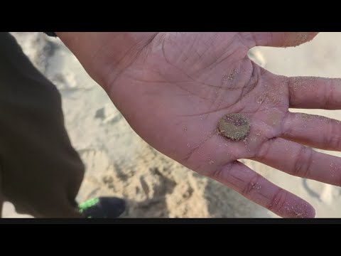 Видео: СЪКРОВИЩА ПОД ПЯСЪКА ТЪРСЕНЕ С МЕТАЛ ДЕТЕКТОР💰