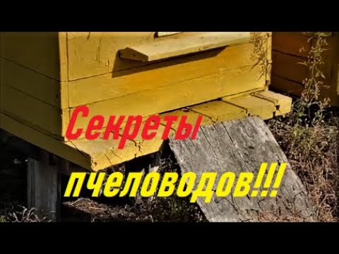 Видео: Лайфхаки для пчеловодов.