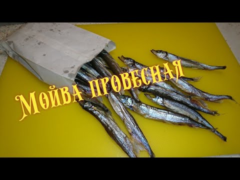 Видео: МОЙВА ПРОВЕСНАЯ /capelin is suspended