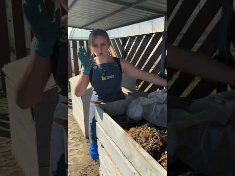 Видео: ✅Немного про компост осенью #shorts