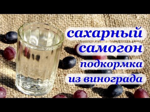 Видео: Рецепт самогона из сахара с виноградной подкормкой для дрожжей