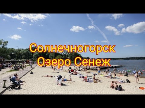 Видео: Солнечногорск: Тайны озера Сенеж в увлекательной экскурсии!