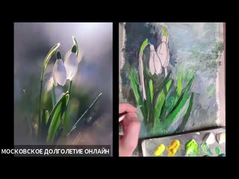 Видео: подснежники 2 часть