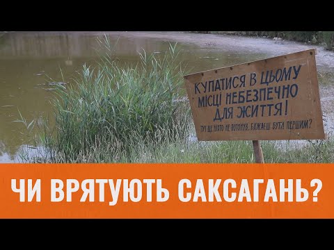 Видео: Чи врятують Саксагань?