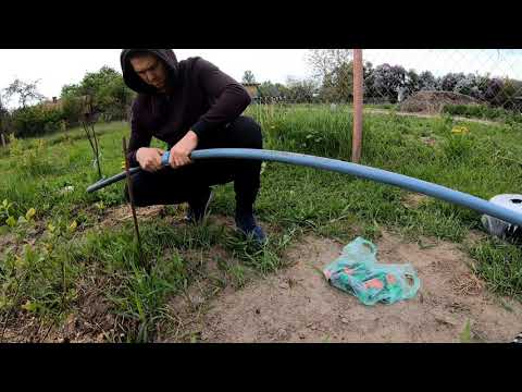 Видео: ГОЛУБИКА 21.05.2021. Монтаж капельного полива для голубики.