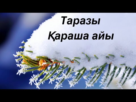 Видео: Таразы 2024 жылдың Қараша айына арналған Таро жорамалы