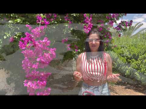 Видео: Обзорная экскурсия по Ницане