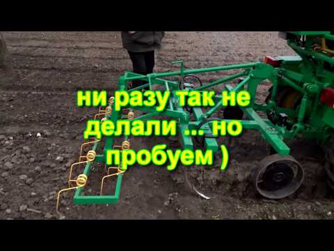 Видео: Прополка картошки (немного необычным способом).