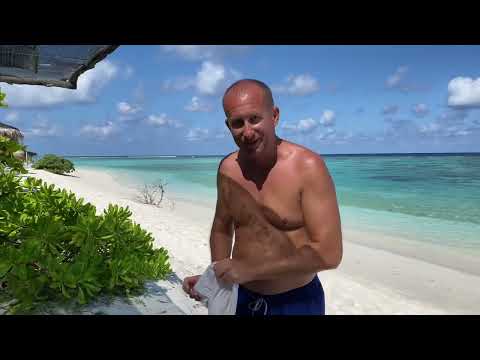 Видео: Акулы на пляже!🤯Страх на всю жизнь. Подводный мир Мальдив: Скат.Черепаха. 