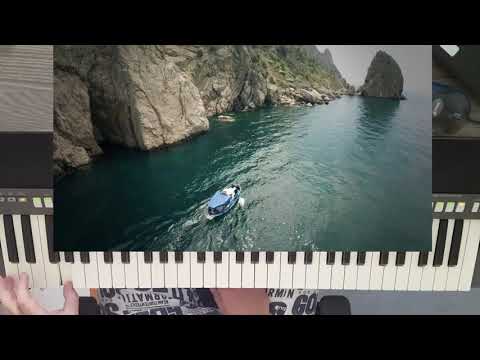 Видео: "В мире животных" - (кавер- транс) на YAMAHA PSR S770