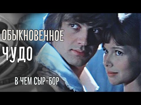 Видео: Обыкновенное чудо: в чем сыр-бор