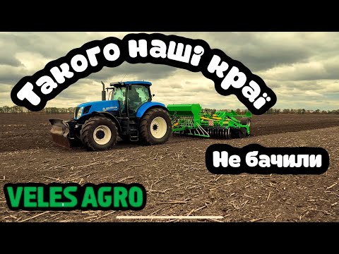 Видео: Колісниця на Полтавщині😱посів пшениці коліснецею🙄універсальність поперед всього 💪