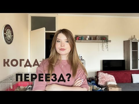 Видео: ЧТО БЫЛО ДАЛЬШЕ С КВАРТИРОЙ В НОВИ-САДЕ? КОГДА ПЕРЕЕЗД?