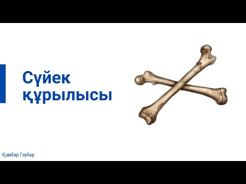 Видео: Қозғалыс , сүйектің құрылысы