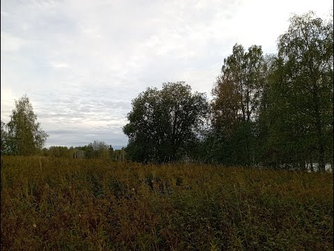 Видео: Оставленные земли Вологодчины, зачищенные территории. Древняя пирамида и загадочное урочище. Медведи