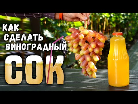 Видео: Как сделать виноградный сок?
