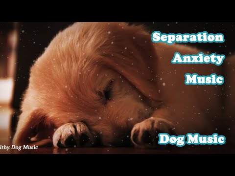 Видео: Исцеляющая музыка для собак, Тревога разлуки МУЗЫКА
