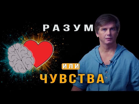 Видео: Что важнее: разум или чувства | Вселенская любовь глазами неверующего