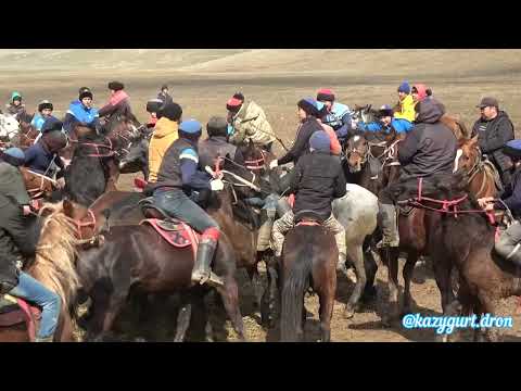 Видео: 09.03.2025 Тілектес ауылы Әуезхан ағамыздың елден бата алу көкпар тойы