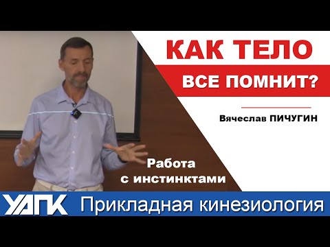 Видео: Как влияют инстинкты (Вячеслав Пичугин)