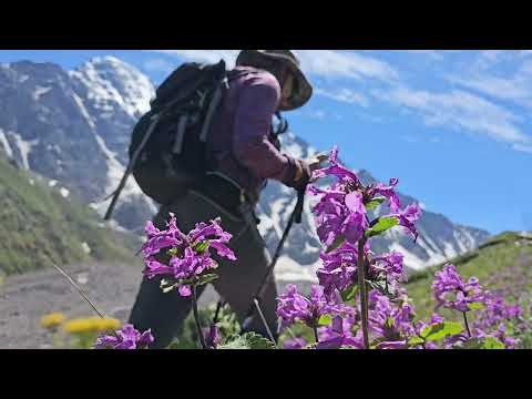 Видео: Озеро Донгуз-Орун кёль. Кабардино-Балкария, Приэльбрусье. Горное озеро на сапбордах.