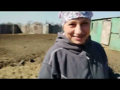 Видео: Обзор на хозяйстве
