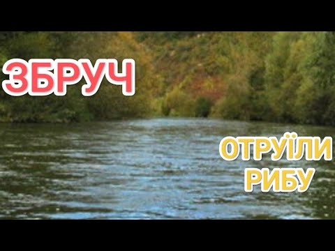 Видео: 24 ГОДИНИ НА БОГОМ ЗАБУТІЙ БАЗІ НА РІЧЦІ ЗБРУЧ. РИБОЛОВЛЯ З НОЧІВЛЕЮ НА КРУЖКИ. ВЕЧЕРЯ НА ВОГНИЩІ...