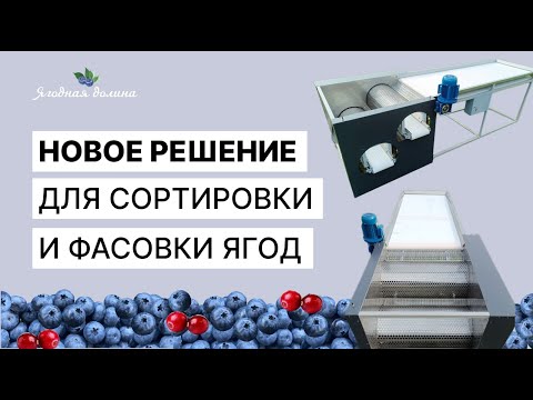 Видео: Обзор нового оборудования для калибровки и фасовки ягод + умные весы.