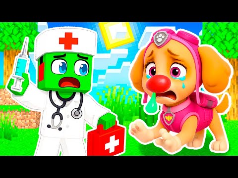 Видео: СКАЙ ЩЕНЯЧИЙ ПАТРУЛЬ ЗАБОЛЕЛА Я СТАЛ ВРАЧОМ и ВЫЛЕЧИЛ ЕЁ в МАЙНКРАФТ