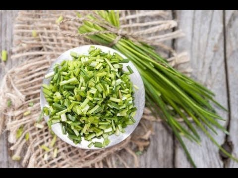 Видео: ЗАГОТОВКА зелёного лука СУШИМ и ЗАМОРАЖИВАЕМ