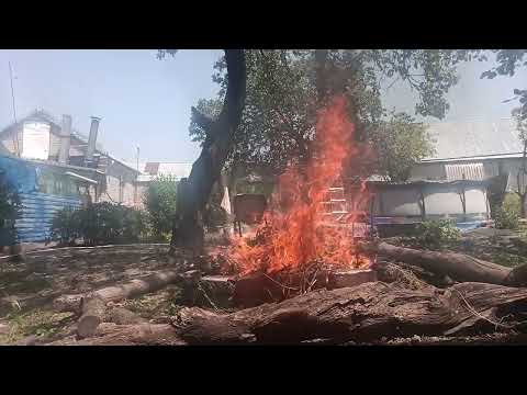 Видео: Большой костёр 88 часть