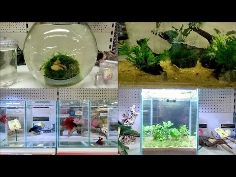 Видео: Бюджетно.