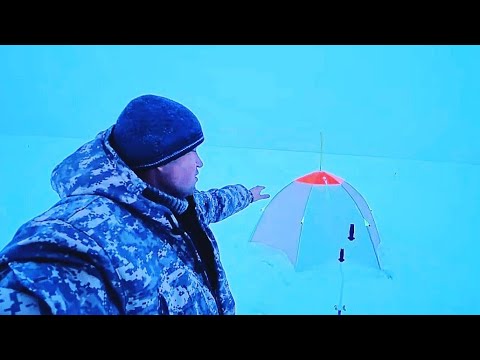 Видео: РЫБАЛКА В ОДНОМ ИЗ ДВУХ ЗАПОВЕДНИКОВ КАЗАХСТАНА.