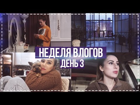 Видео: НЕДЕЛЯ ВЛОГОВ #3 СОСТОЯНИЕ: КВАШЕННАЯ КАПУСТА