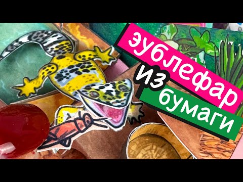 Видео: ЯЩЕРИЦА ИЗ БУМАГИ / ЭУБЛЕФАР / БУМАЖНЫЕ ПИТОМЦЫ