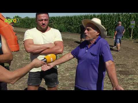 Видео: Фермери от Северозапада: На минус сме