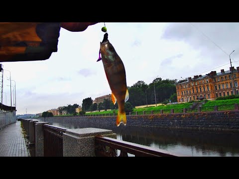 Видео: РЫБАЛКА НА КАНАЛЕ И НА РЕКЕ