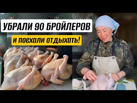Видео: Майские будни на ферме Крапивиных