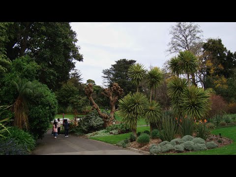 Видео: Показываю животных в Мельбурне 🇦🇺