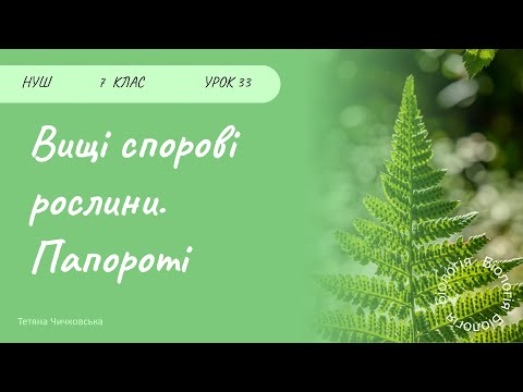 Видео: Вищі спорові рослини. Папороті