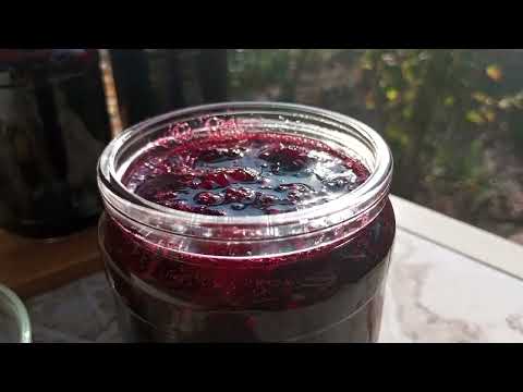 Видео: Մոշի մուրաբա ` լավագույն տարբերակը | Варенье из ежевики | Blackberry jam